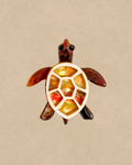 Alfinete Amber Turtle