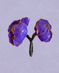 Alfinete Violeta